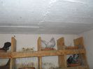 DSCN2299