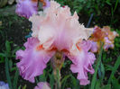 DSCN3305_016