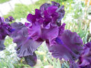 DSCN3319_030