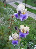 DSCN3323_034