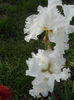 DSCN3375_086