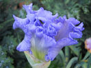 DSCN3410_121