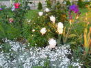 DSCN3327_038