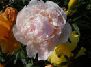 DSCN3348_059