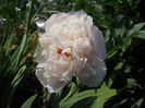 DSCN3349_060