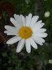 DSCN9674