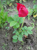 DSCN9702
