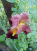 DSCN9706