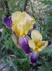 DSCN9709