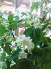 IMG_20140512_105411