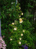 DSC00327