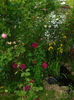 DSC00066