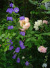 DSC00149