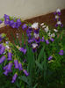 DSC00356