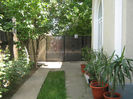 Picture My plants 208
