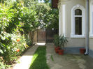 Picture My plants 211