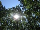 IMG_5227