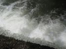 IMG_5305