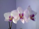 2014-05-09 15.38.25-1