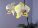 2014-05-09 15.38.25-4