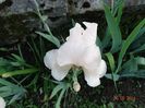 DSC03394