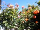 20140519_091305