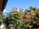 20140519_091312