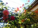 20140519_091246