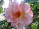 20140519_195119