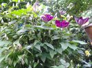 20140519_194957