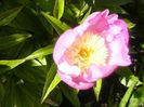 P1210545