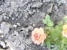 P1210596
