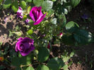 20140518_094814