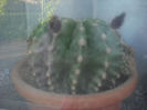 DSCF0378