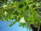 DSCF0381