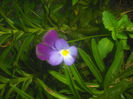DSCF0387