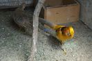 DSC01906
