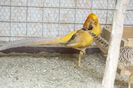 DSC01908