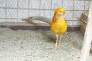 DSC01909