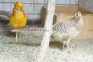 DSC01910