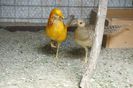 DSC01911