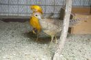 DSC01912
