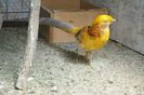 DSC01913