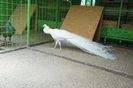 DSC01861