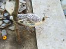 IMG_2010