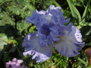 DSCN3432_002