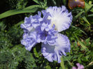 DSCN3433_003