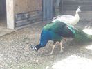 IMG_20140520_131738