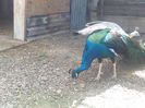 IMG_20140520_131730