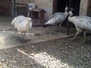 IMG_20140520_131718